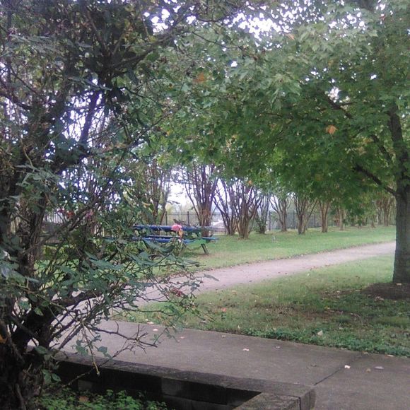 Meet your Posher, Misty dawn - Picture 1 of 1